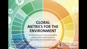 Globális környezeti (m)érték 